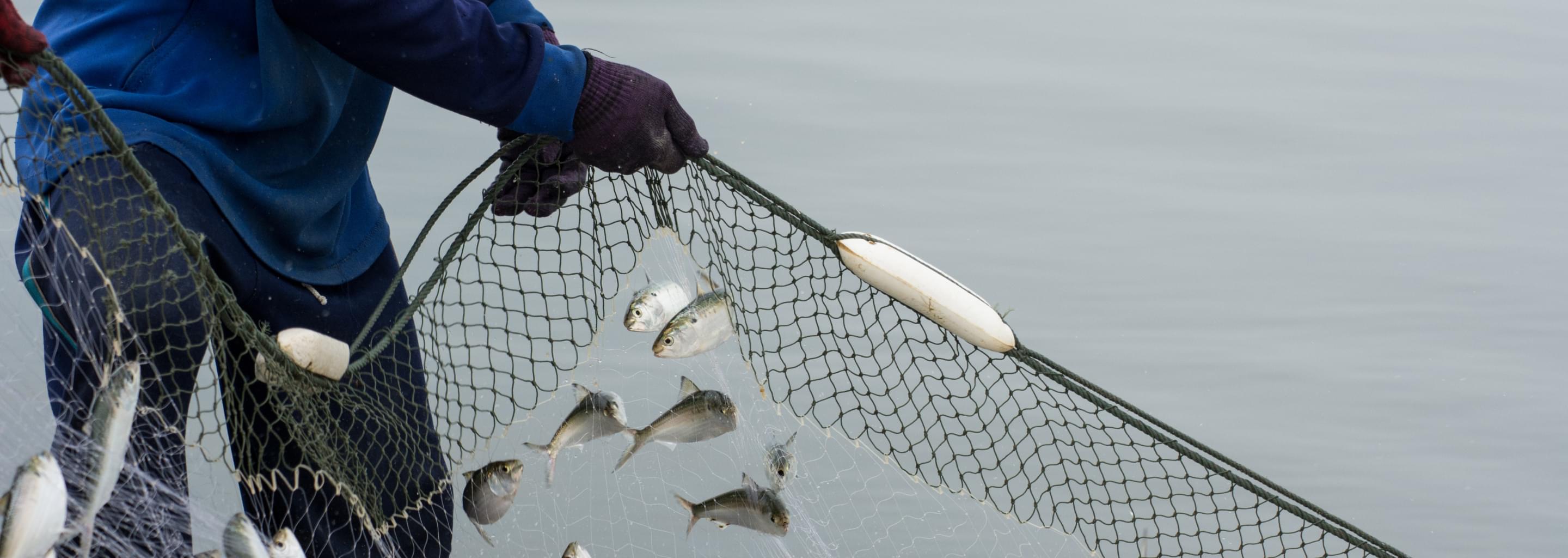 Рыбак держит сети